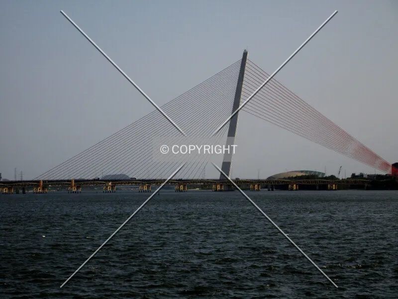Photo 110-404-756