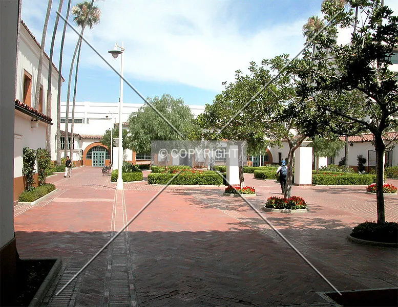 Photo 110-808-930