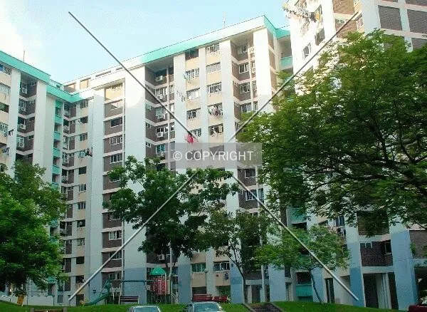 Back facade