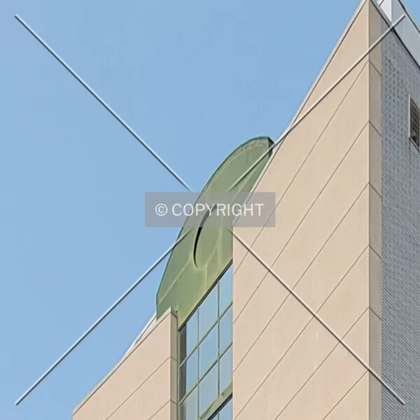 Photo 110-826-886