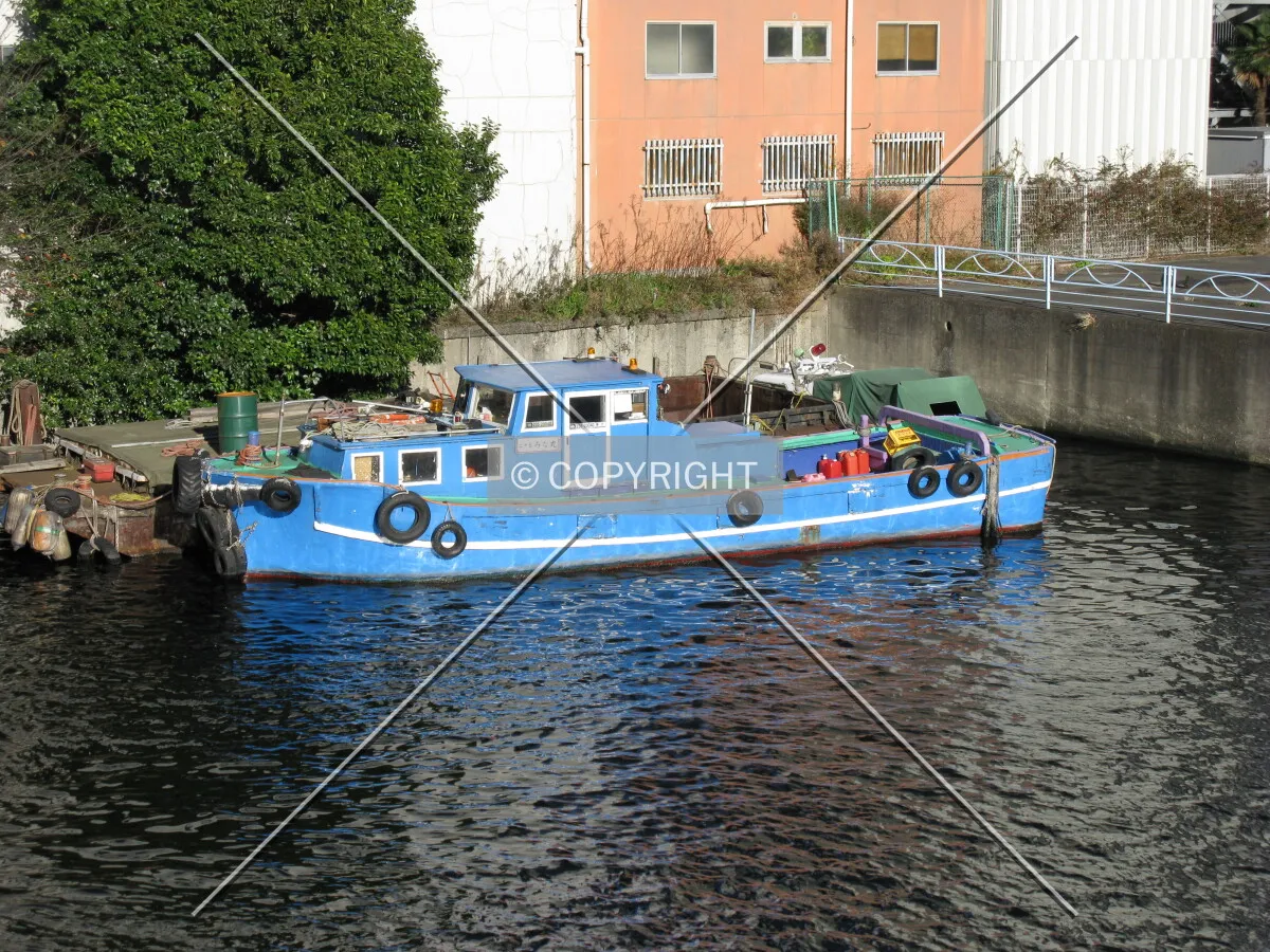 Photo 111-043-839