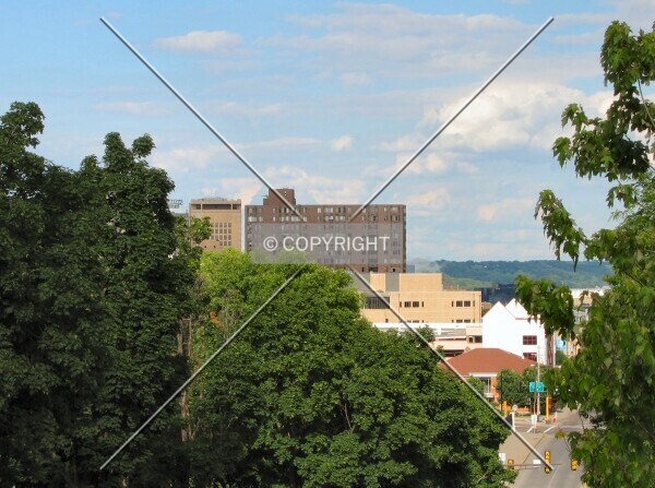 Photo 111-130-795