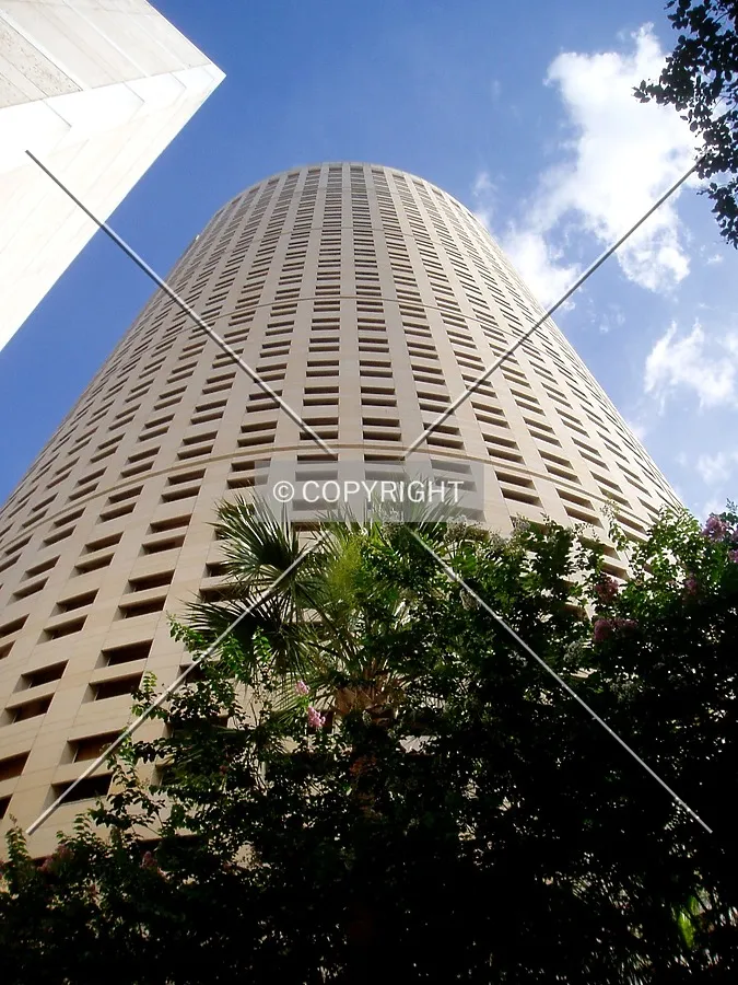 Looking up the curved facade