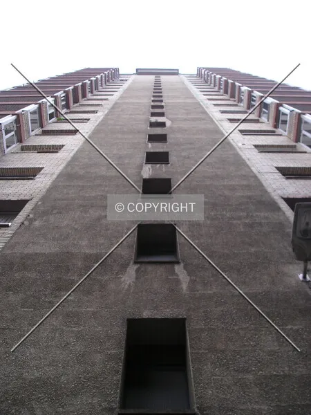 Photo 111-185-308