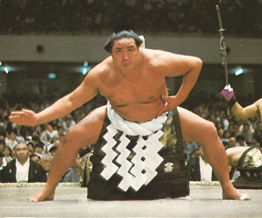A Sumo Wrestler