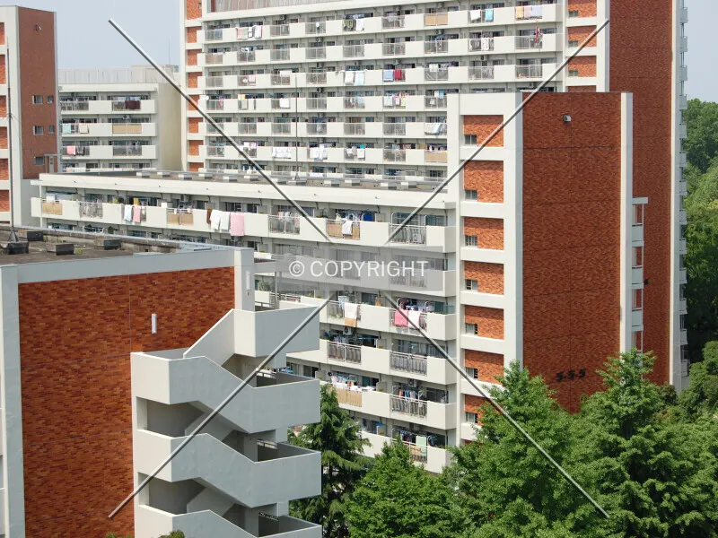 Photo 111-282-858