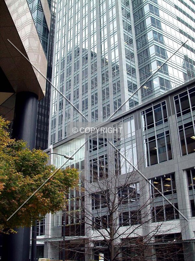 Street level view of IDX along the backside on Third Avenue