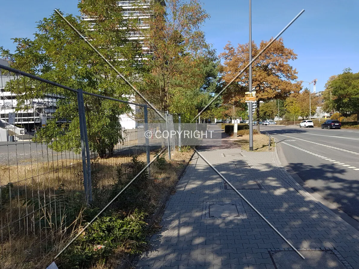 Photo 111-428-238