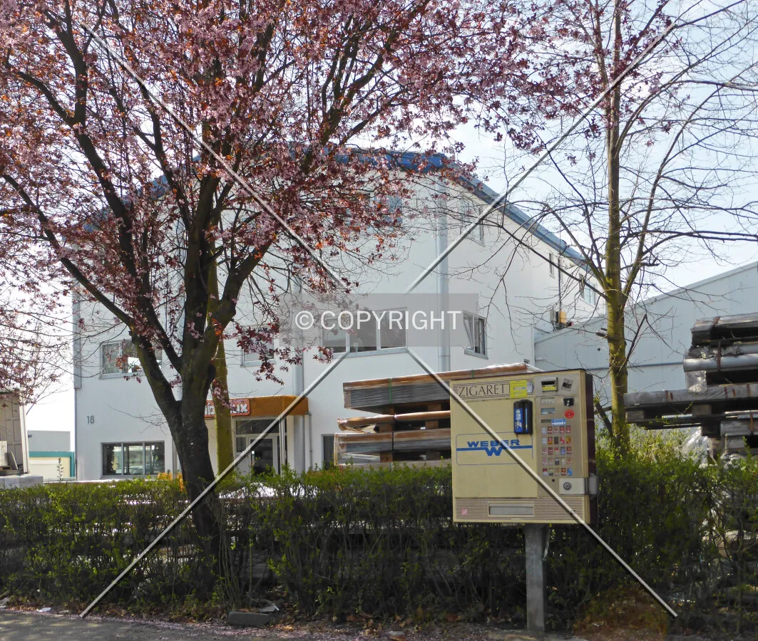 Photo 111-447-256