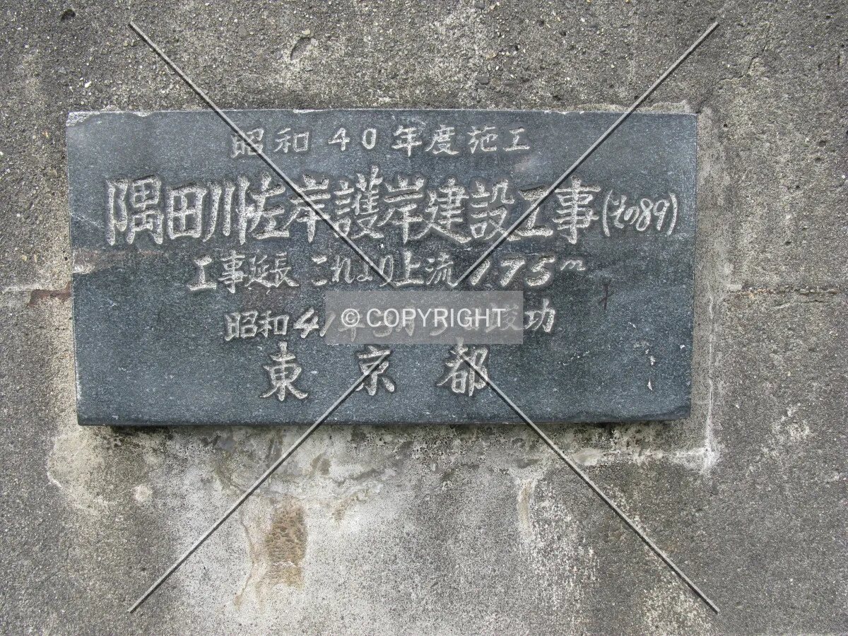 Photo 111-523-808