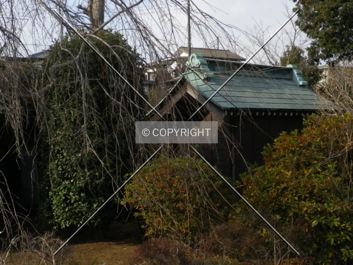 Photo 111-666-371