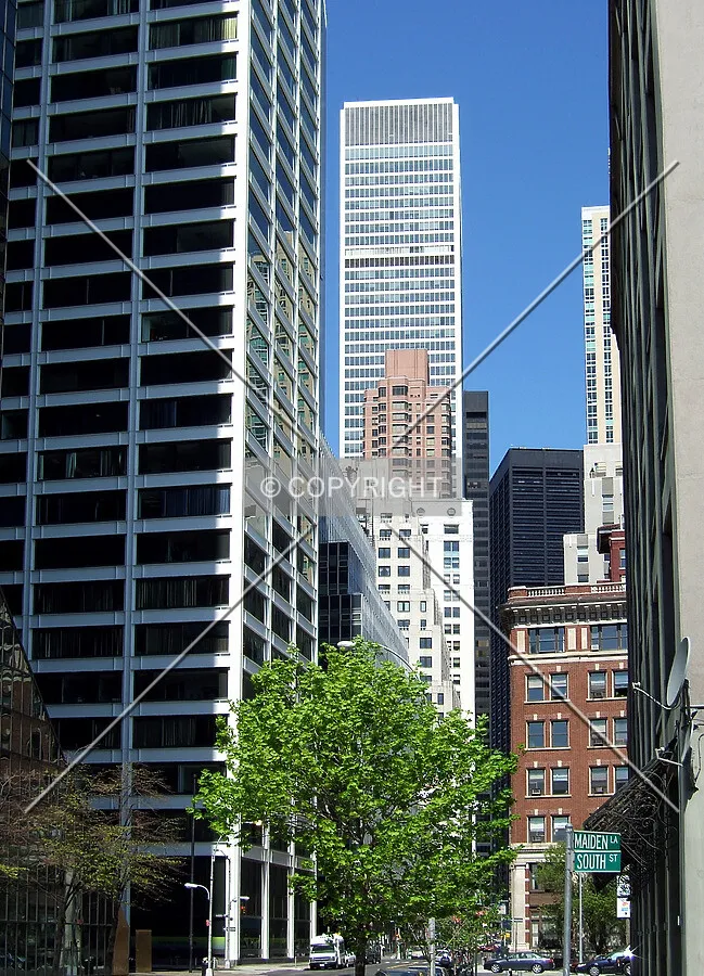 View from the southeast along Maiden Lane