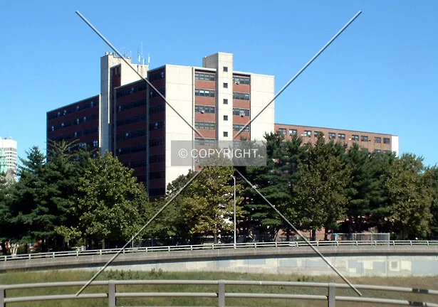 View from the southwest