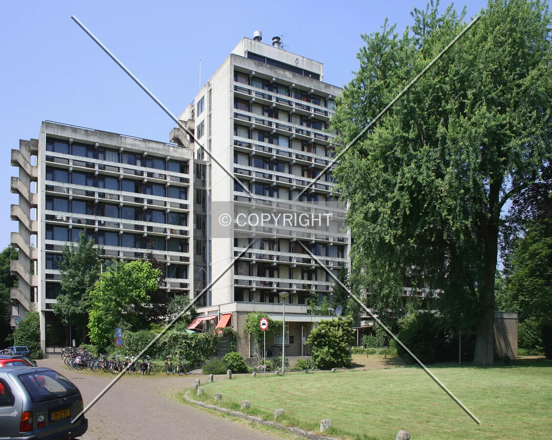 View from the southeast