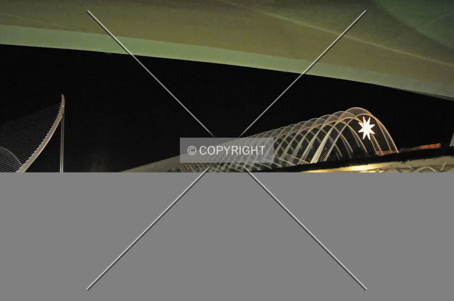 Photo 111-957-325