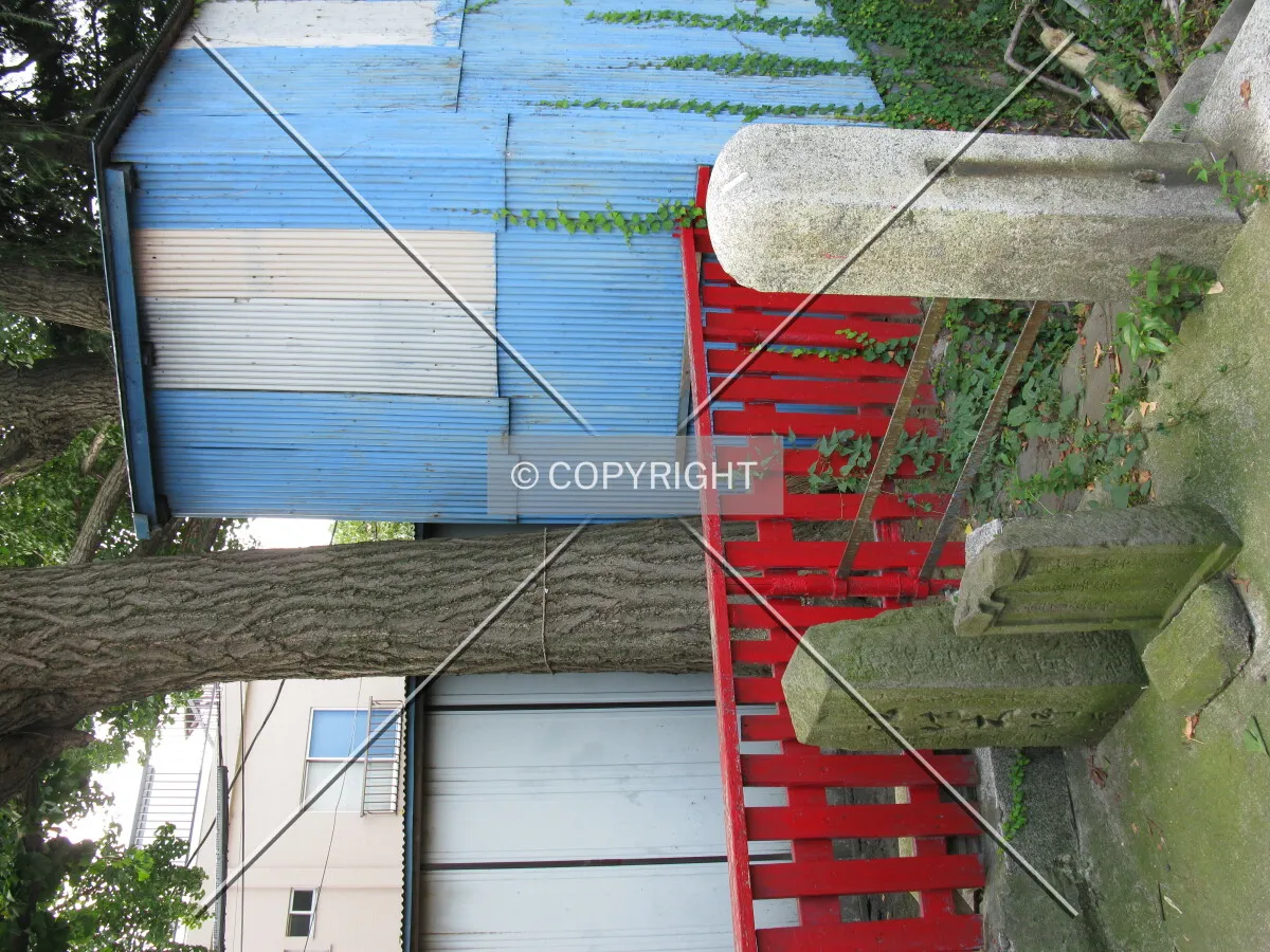 Photo 112-009-321