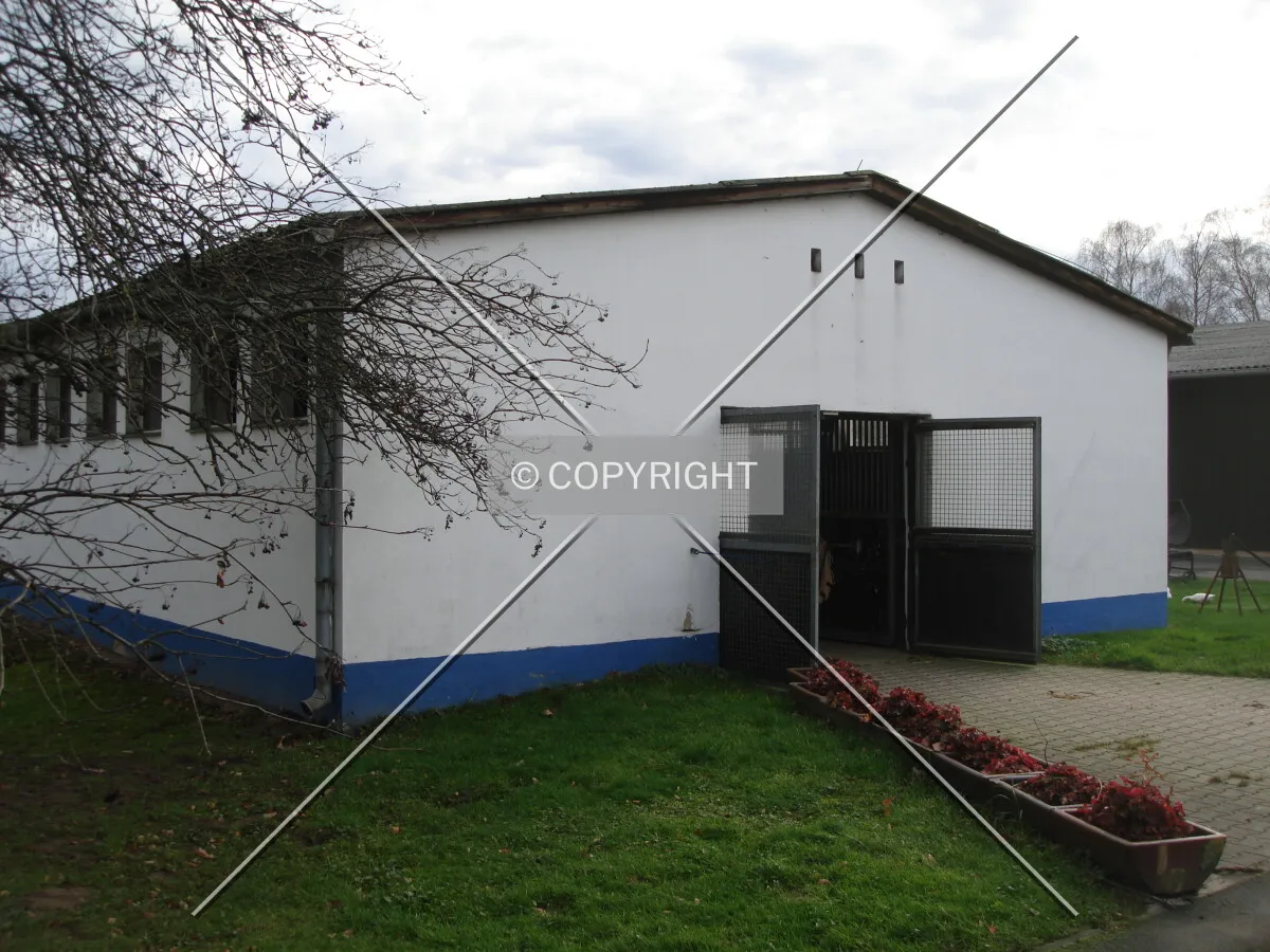 Photo 112-528-844