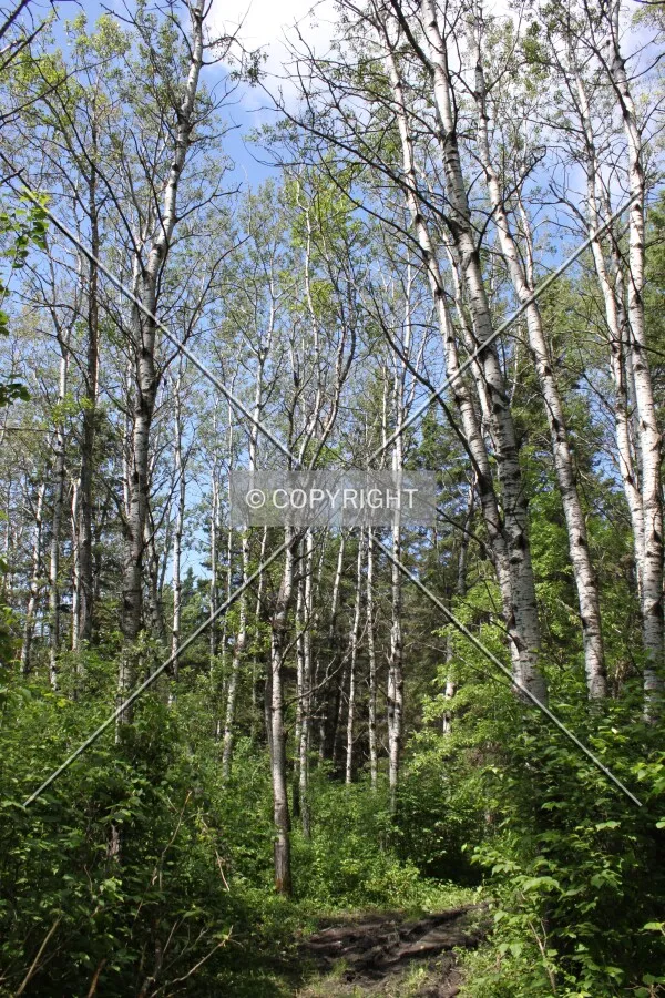 Riding Mountain National Park