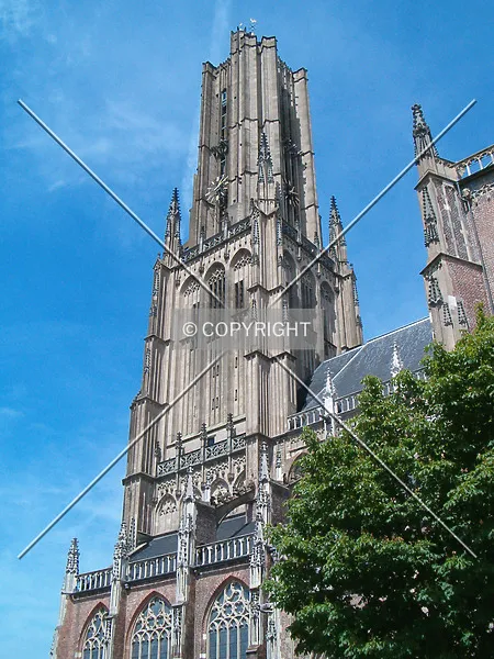 Photo 112-608-764