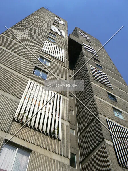 Photo 112-918-819
