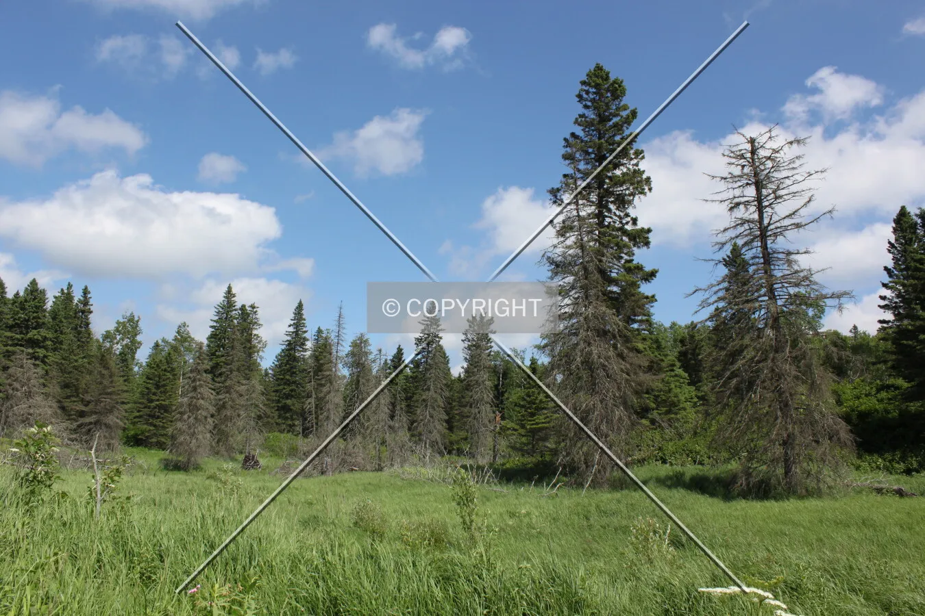 Photo 112-962-287