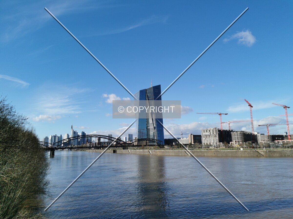 Photo 112-993-170