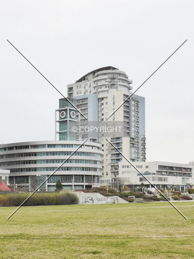 Photo 113-079-784