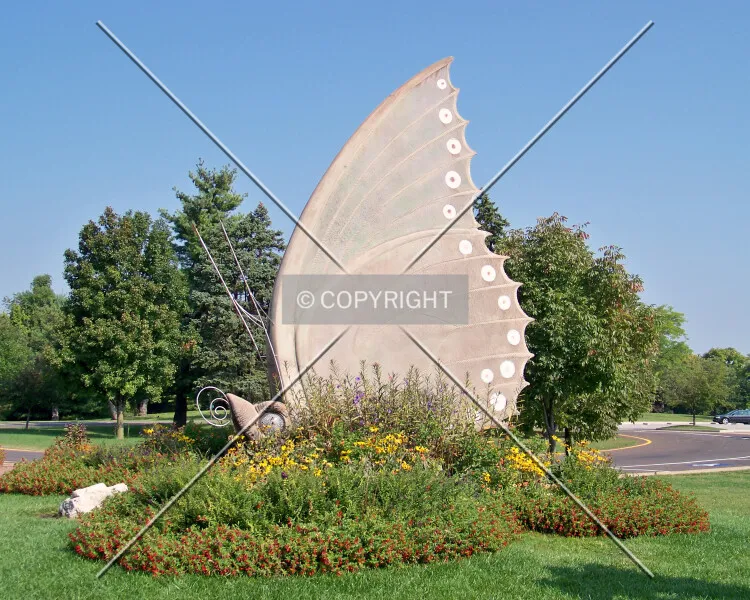 Photo 113-142-601