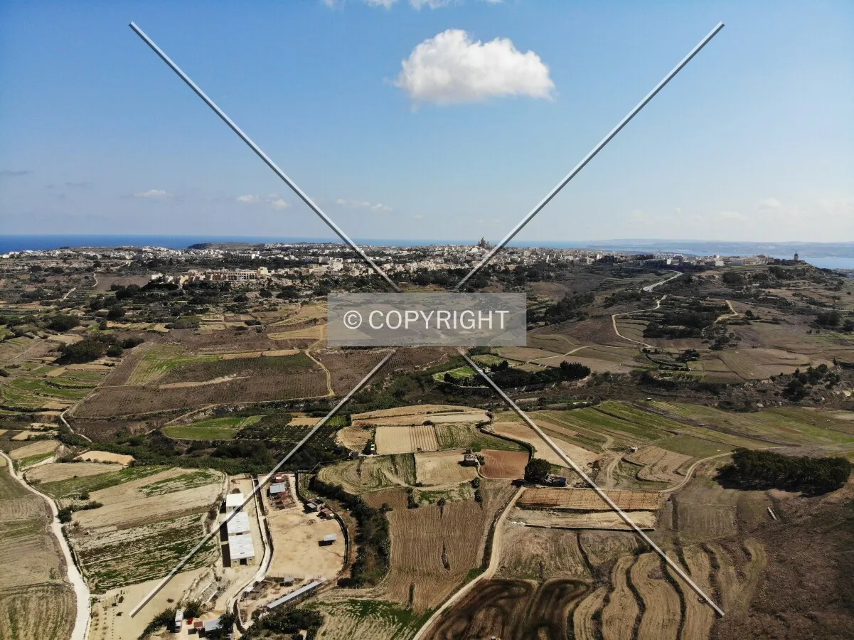 Photo 113-159-272