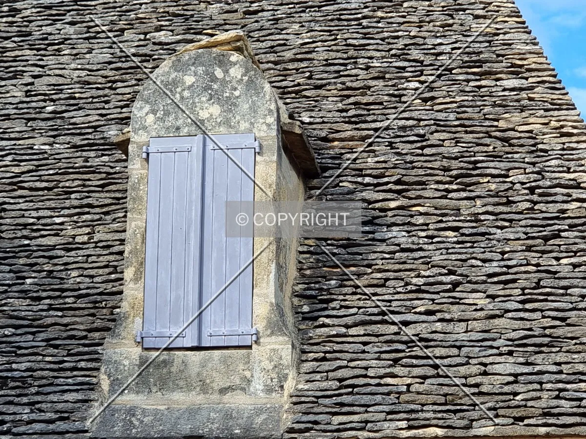 Photo 113-235-490