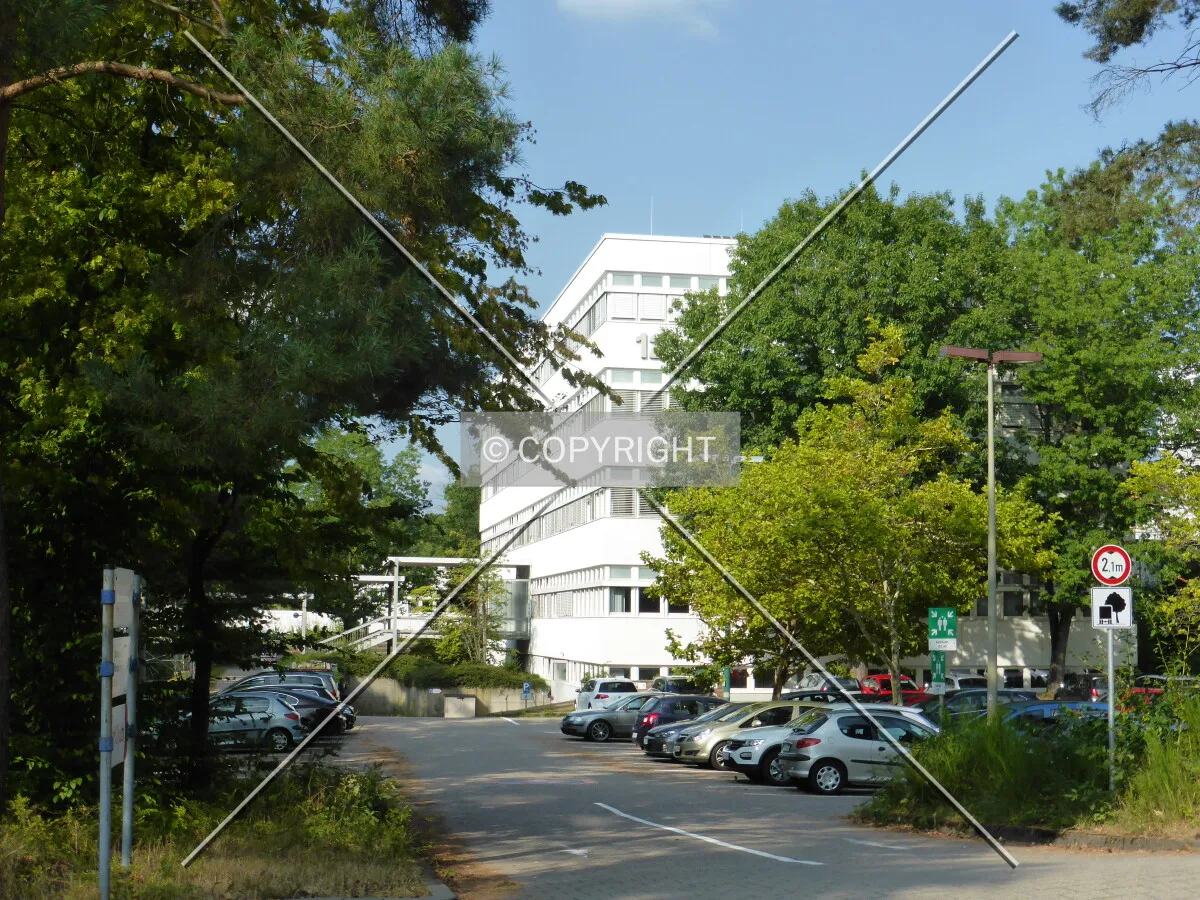 Photo 113-361-017