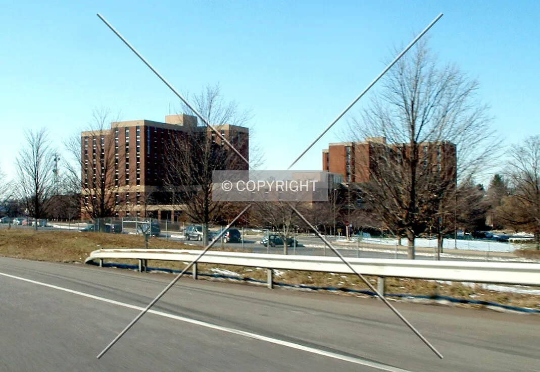 Photo 113-393-902