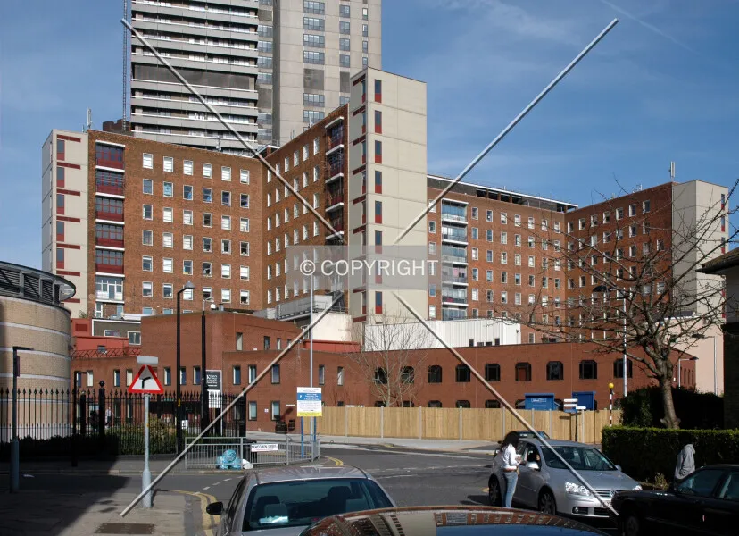 Photo 113-477-535