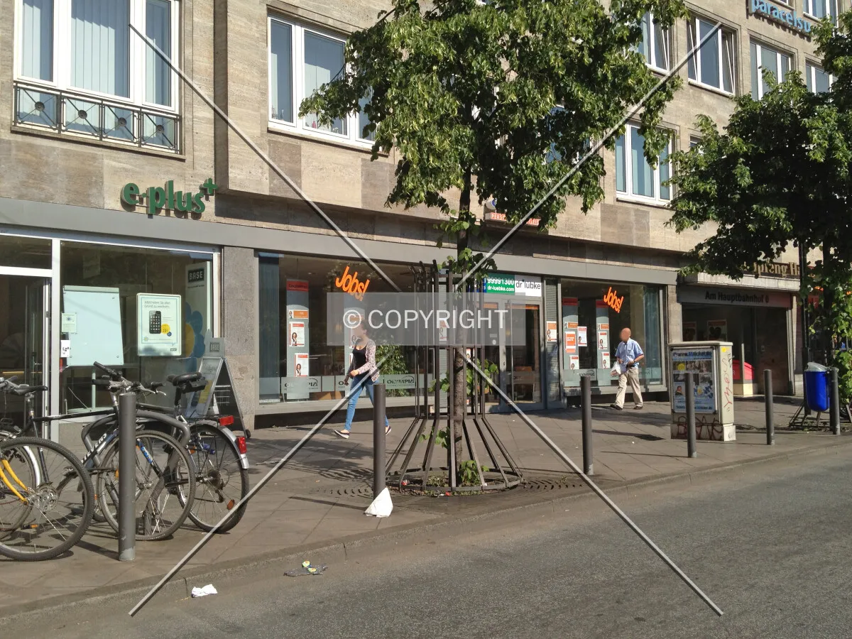 Photo 113-484-621