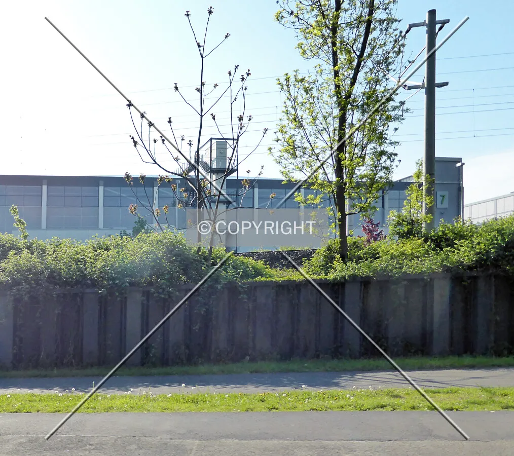 Photo 113-511-067