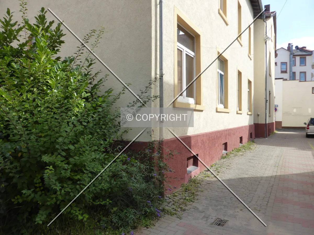 Photo 113-723-973