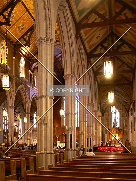 Photo 113-803-844