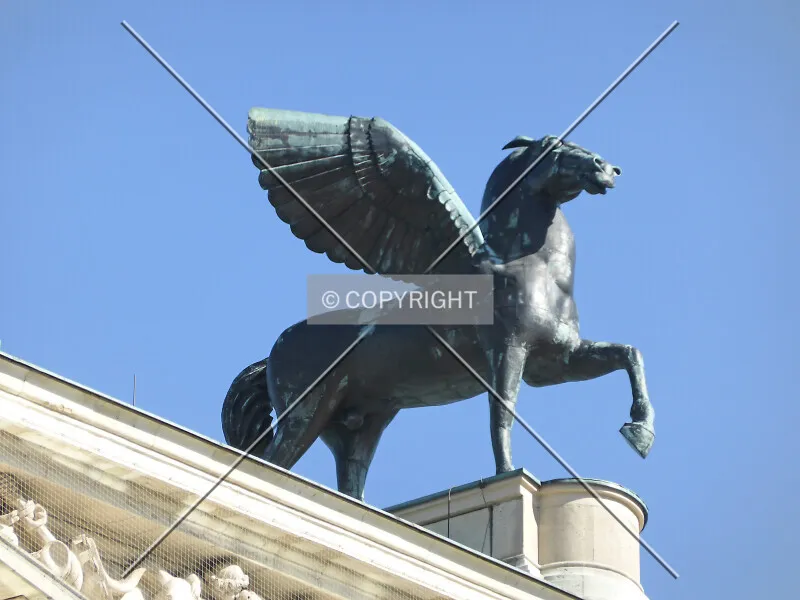 Photo 113-808-075
