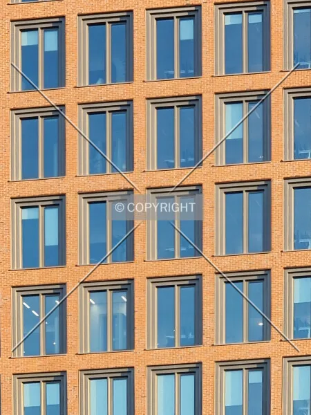 Photo 113-895-318