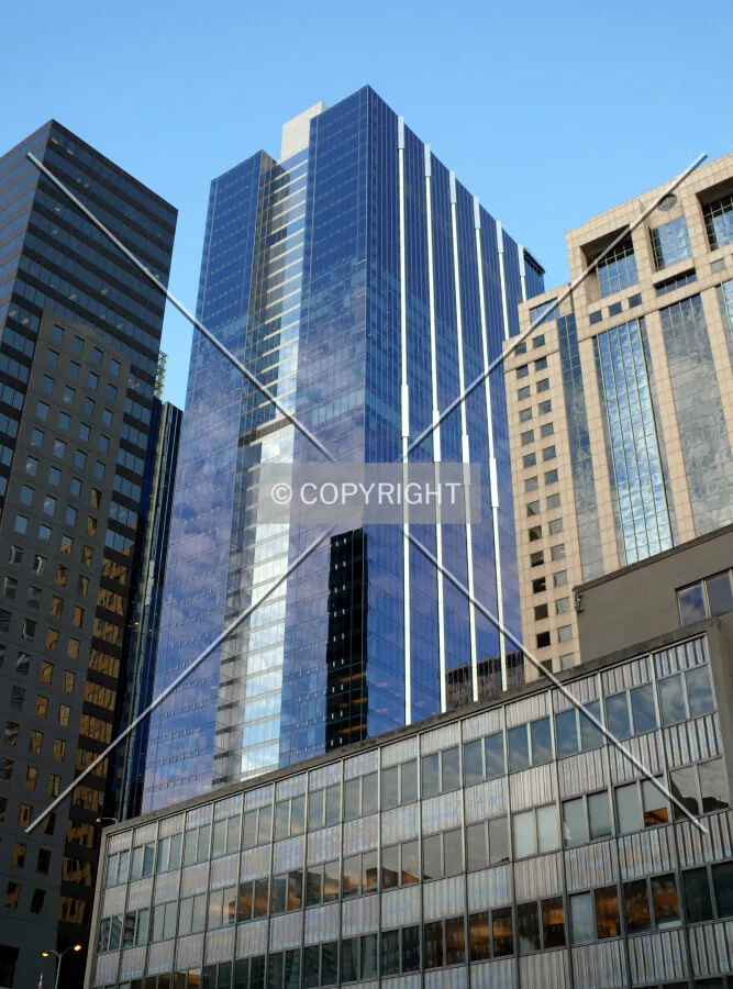 View from the Chicago River