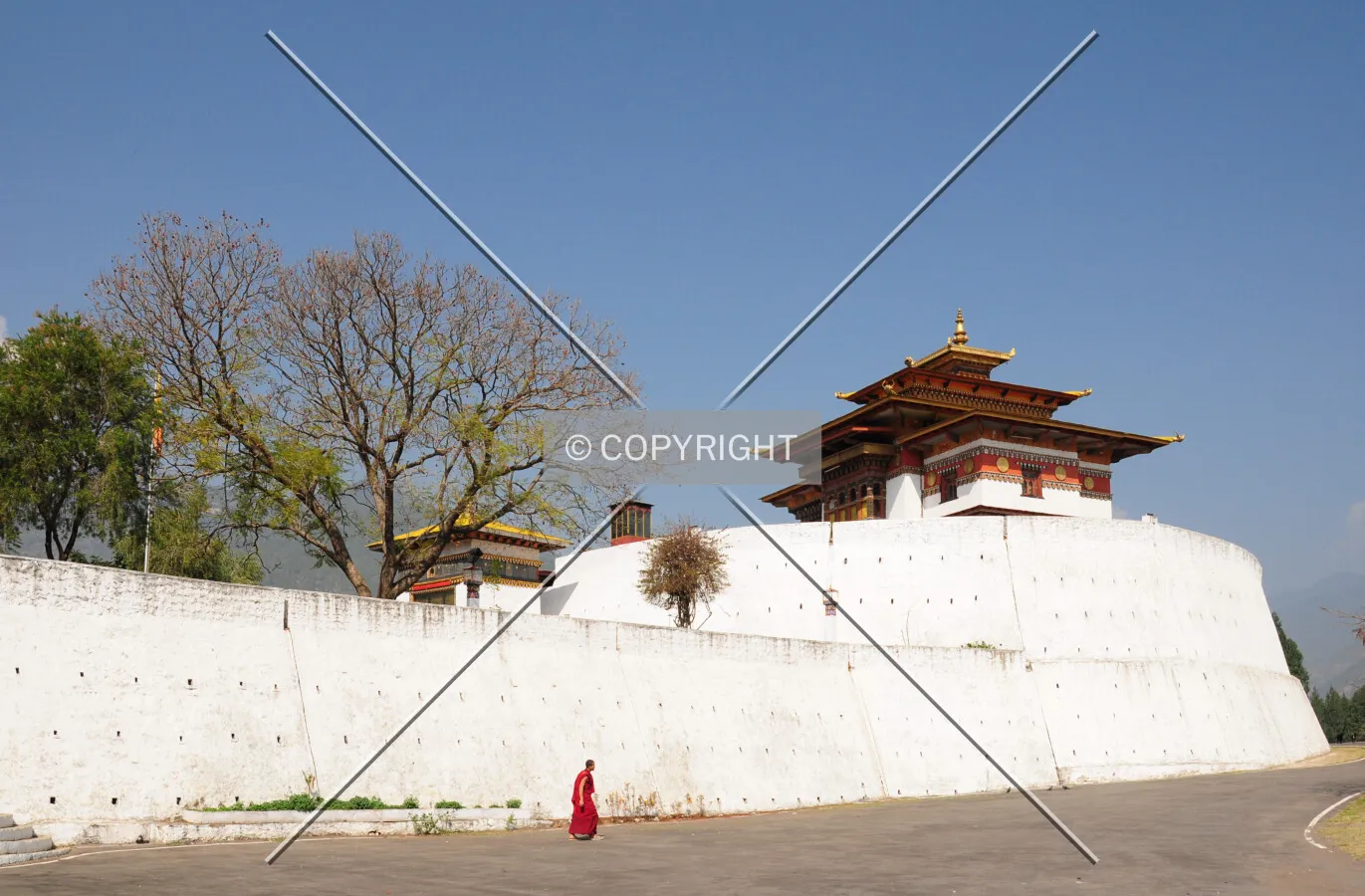 Photo 114-455-263