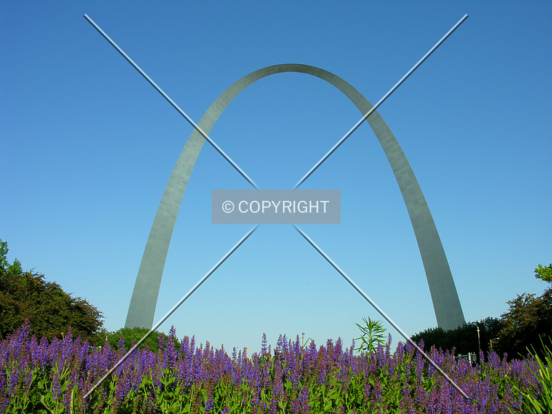 Photo 114-593-709