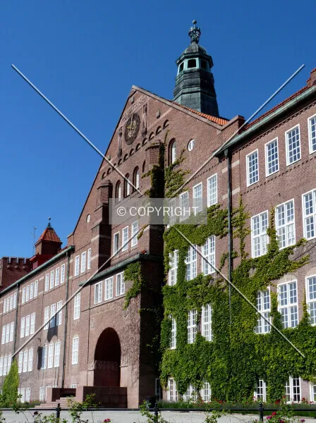 Photo 011-460-324