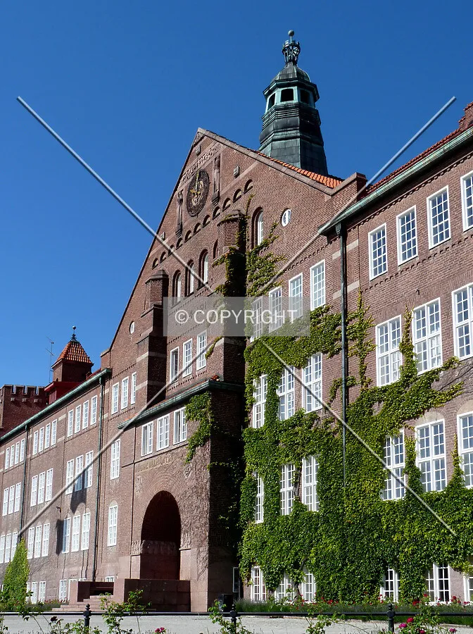 View from the east