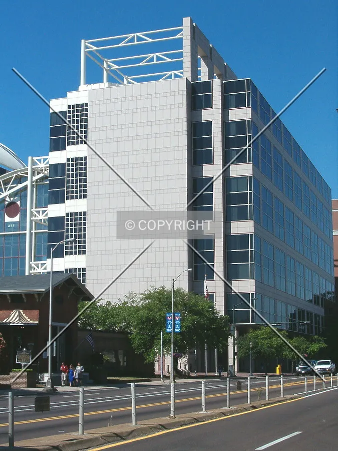 View from Government Street