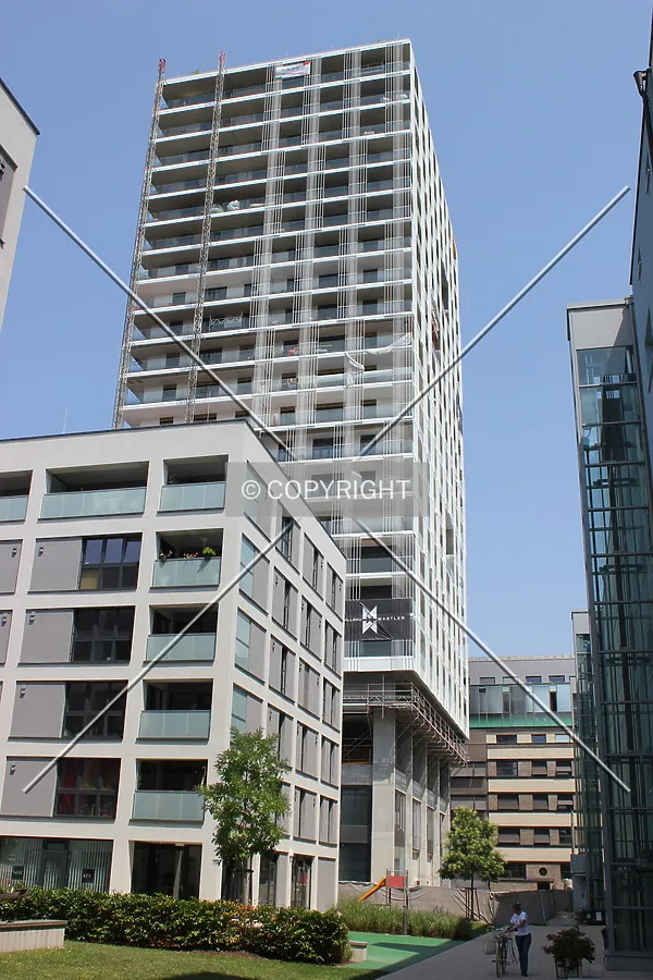 Photo 114-819-176