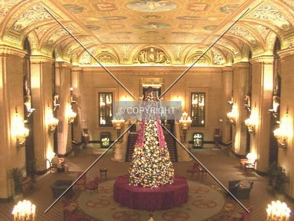Main lobby in Christmas season