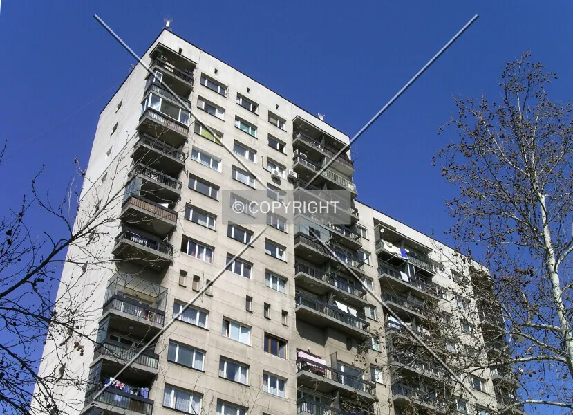 Photo 115-219-370