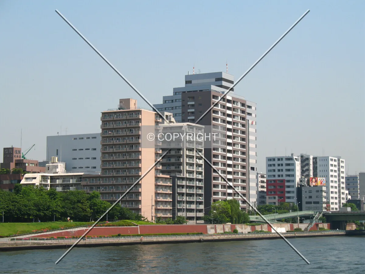 View from the south