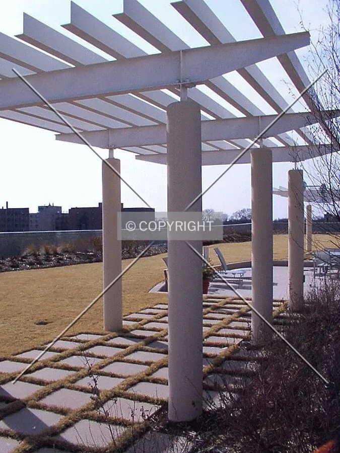 Trellis on the garage roof